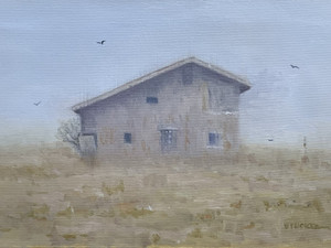 Forgotten Shelter