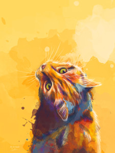 A Cat's Curiosity