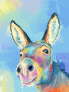 Carefree Donkey, Farm Animal Illustration