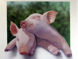 Piglet