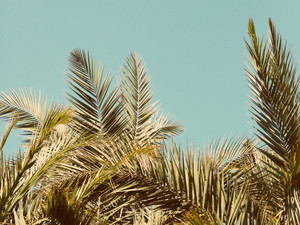 Clear View #1