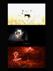 Film Strip [3]