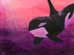 Pink Orca