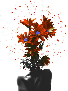 Bloom​​​​​​​​​​​​​