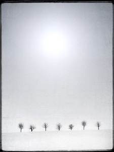 Horizon​