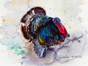 Turkey. Watercolor. Realism. Impressionism.