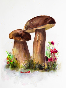 Taiga white mushrooms with cranberries. White background. Botanical painting. Realism.