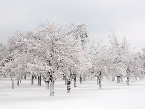 Frostland