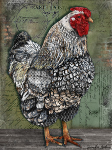 Artiste Hen