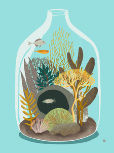 Fishies 1