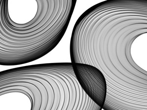 Abstract Black and White 21-44-40