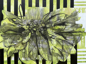 Limelit