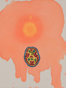 Bipolar Stain (sunspot)