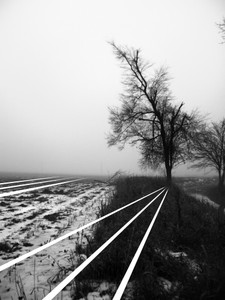 Transitions #7