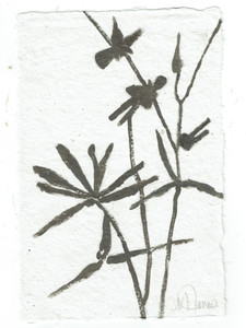 Rag paper Botanical Series