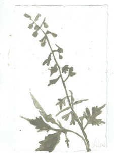 Rag Paper Botanical Series II