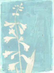 Blue & White  Wildflower Series