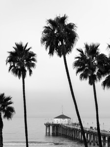 Manhattan Beach