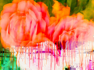 Dripping Flower Orange