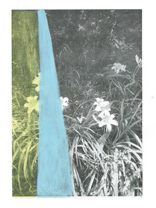 last summer at chiswick & comm ave.