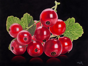 RIbes Rubrum