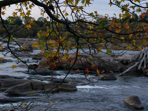 Autumn Leaves Frame the James