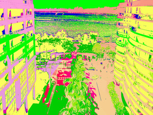 Downtown Miami -Yellow Green