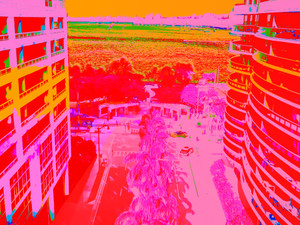 Downtown Miami -Red Orange