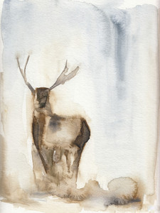 Deer In The Fog