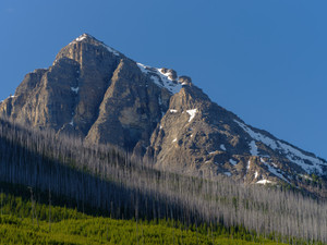 Above the Timberline, Kootenay Nat'l Park