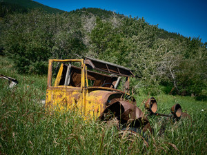 Abandoned Yellow Model T
