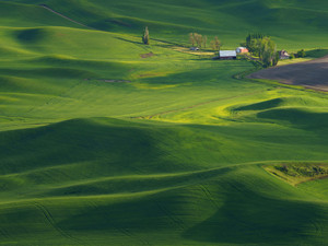 Homestead​