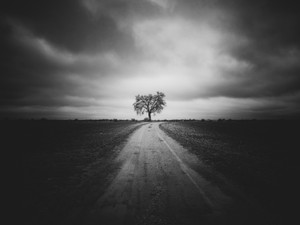 Finding a Way