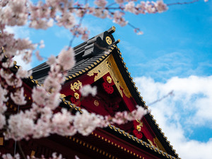 Temple In Spring #1