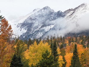 Dual Seasons