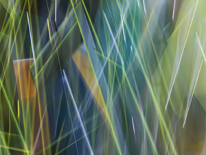 Abstract 102A Pano