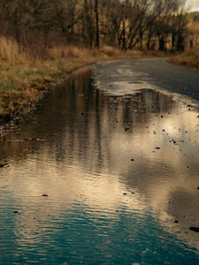 After The Rain​​​​​​​​​