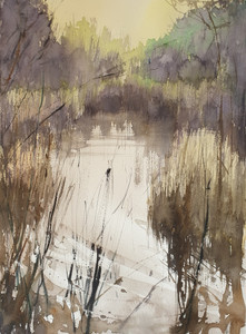 Swamp-2