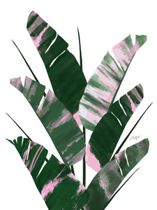 Banana Leaf Plant (Pink/Green Palette)