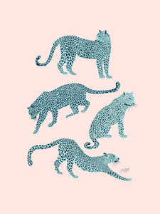 Leopards Illustration (Blue/Pink Palette)