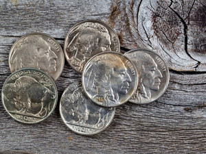 American Buffalo-Bison nickels in vintage concept