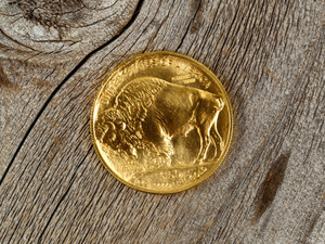 Pure gold buffalo coin
