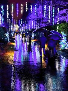 Walking In The Rain​​
