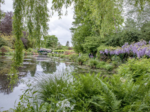 Monet Water Lily Pond Garden Giverny France