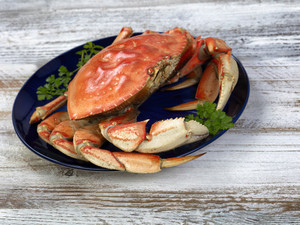 large cooked crab inside of blue dish