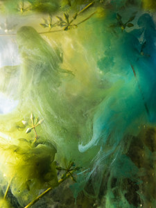 Ink and Water #10