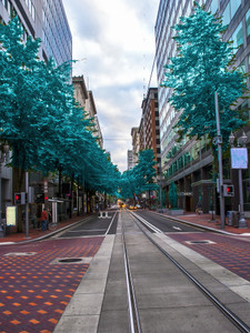 City Circle 5