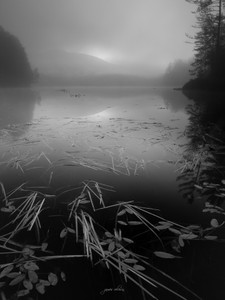 Hammond Pond 2