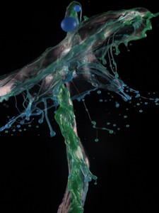 Water Tree