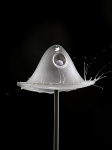 Water Mushroom 2